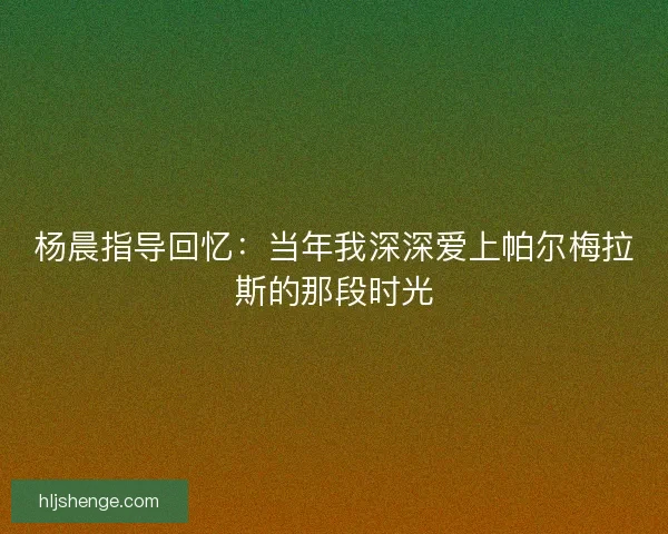 杨晨指导回忆：当年我深深爱上帕尔梅拉斯的那段时光
