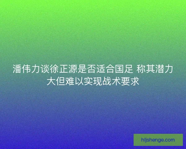 潘伟力谈徐正源是否适合国足 称其潜力大但难以实现战术要求