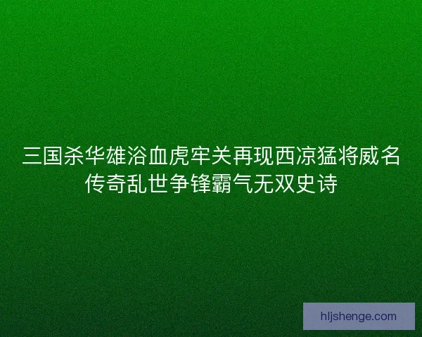 三国杀华雄浴血虎牢关再现西凉猛将威名传奇乱世争锋霸气无双史诗